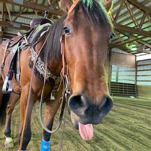 Meet your Posher, Savannah